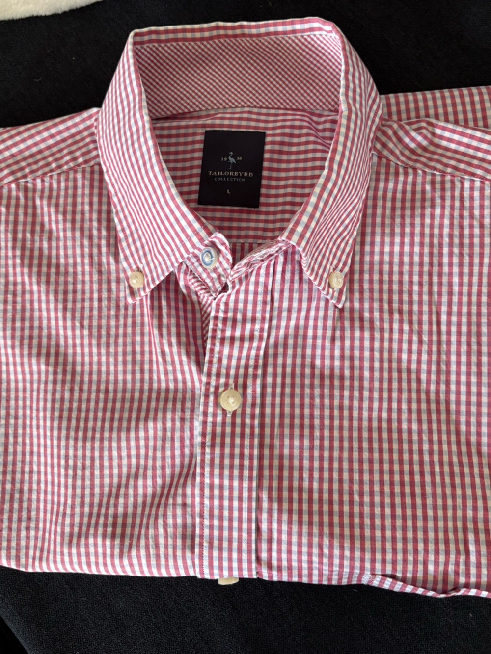 Tailorbyrd Red and White Checked Button-Down Shirt